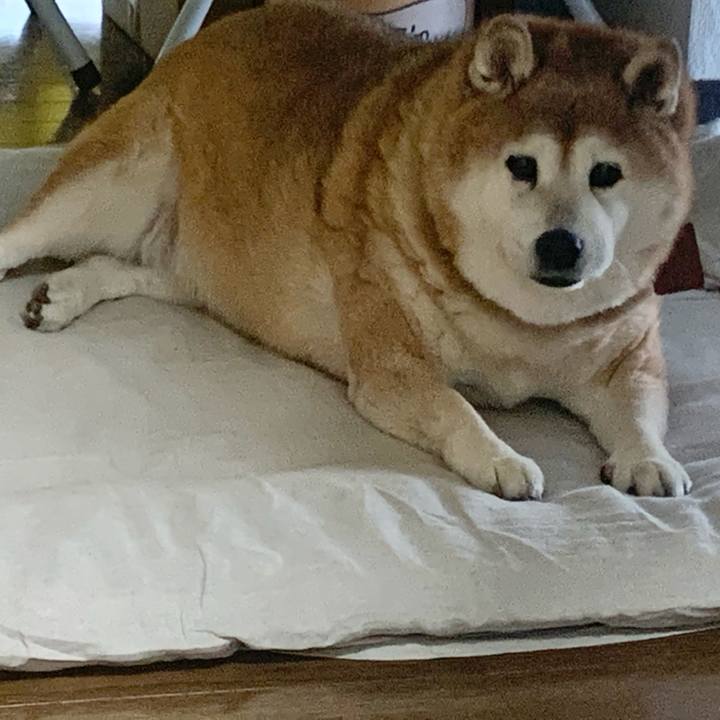 2358a55e 7b5e 41b6 ba14 ccbdb8ac728a 1607986519882