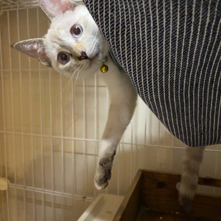 2358be11 70a4 4470 b6dd 4441ed40abfd 1633598944144