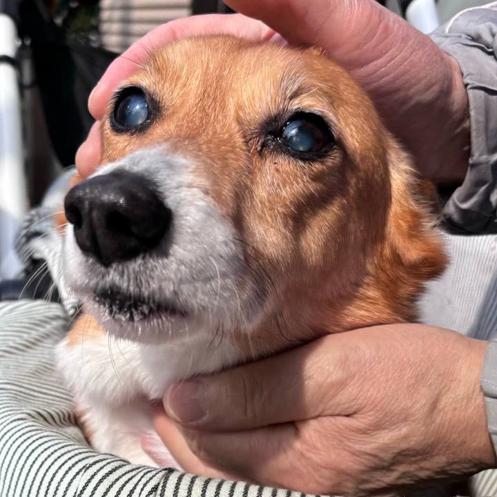 2358df97 b4b6 44ec b60d 7eb5c0ad0891 1741231906929