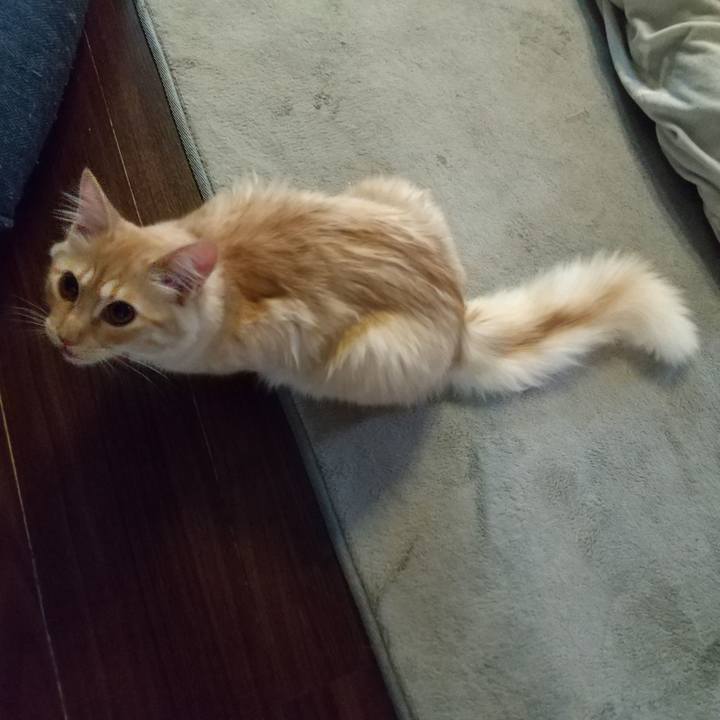 2359134a 2b2f 4125 b192 78af525581b1 1617227566777