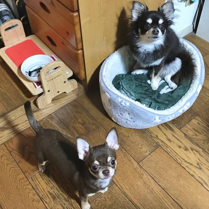 23592800 8e94 44ca 8f8e 20b39608fb49 1605103918278