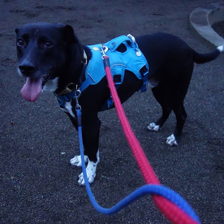 23593e6b 5c92 4415 afbf cf8c23146cdb 1626179751124