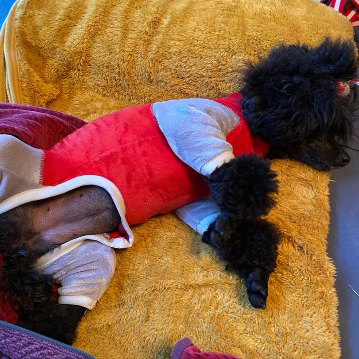 23595445 b892 4de3 8972 aba17b64cc20 1641392507863