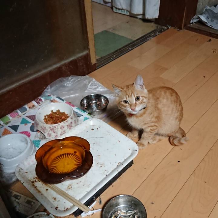 23595ac2 a52a 45e6 8167 f737264aafdc 1634331069121