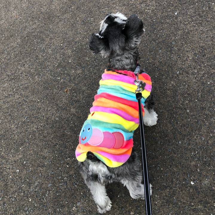 23597415 1d87 493a b910 16dce287593d 1736658729248