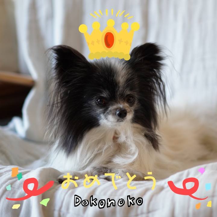 235986b8 dfb6 4a90 8a8b a6b5f47499a9 1685961425711