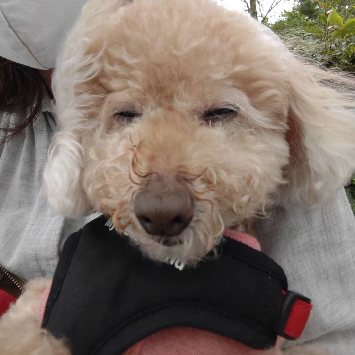 2359d2eb 7c14 41bb abb8 b3f28cb4668a 1655004079377