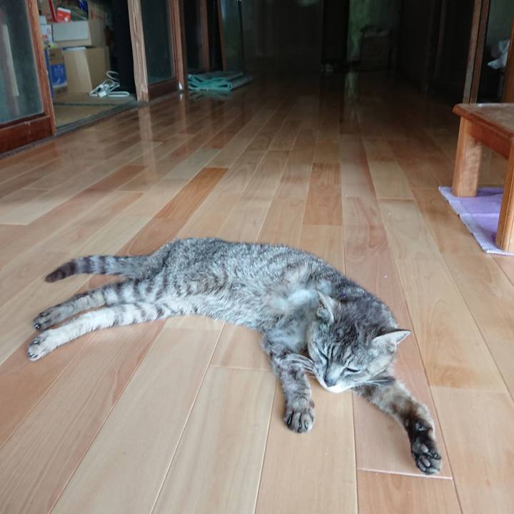 2359efab e037 45a6 a088 85f4cf8e9552 1596609035569