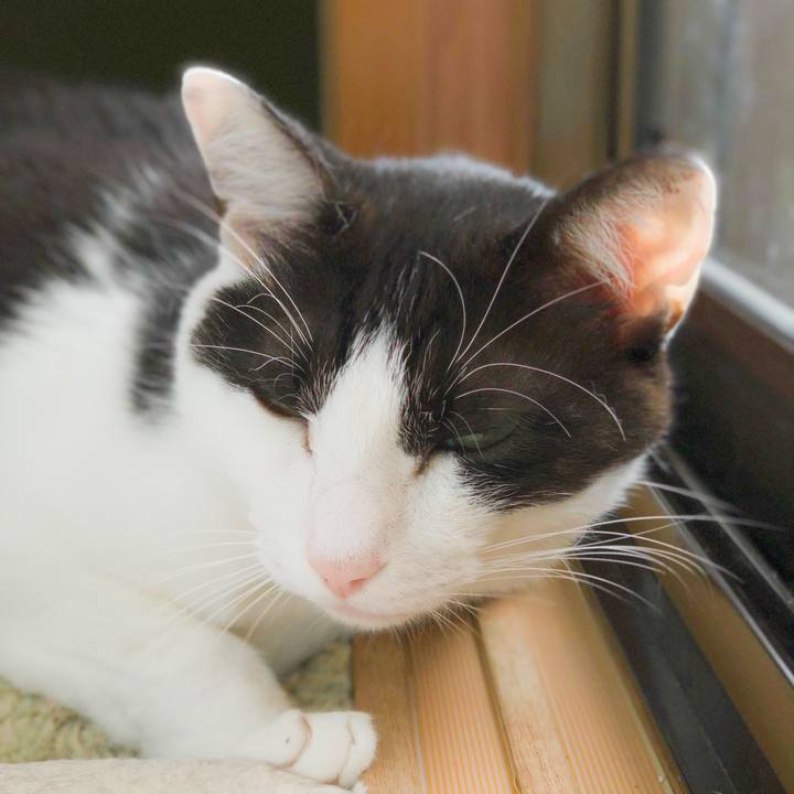 235a135b 2c30 4847 b76e 89455aeef425 1564446143146