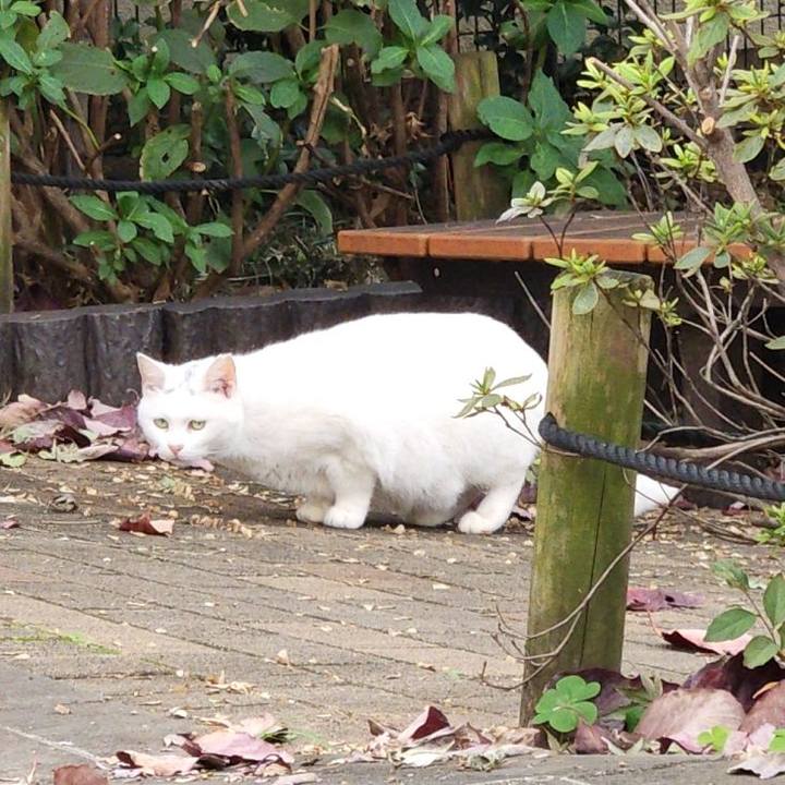 235a3ffd 4164 4a77 a790 60775e7c27ec 1700715350251