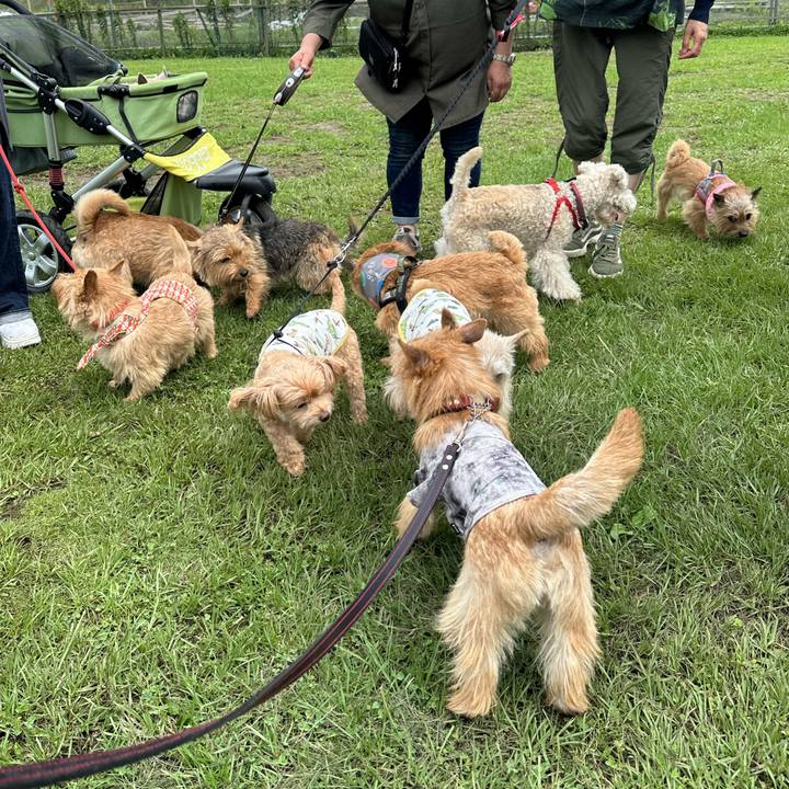 235a7c17 718c 43e5 9038 8550612812da 1719842995063