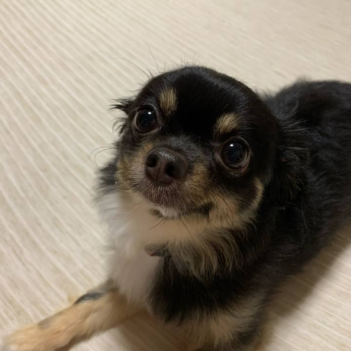 235ae155 762c 41ba 8a8b bf8d7314e3dd 1628337260372