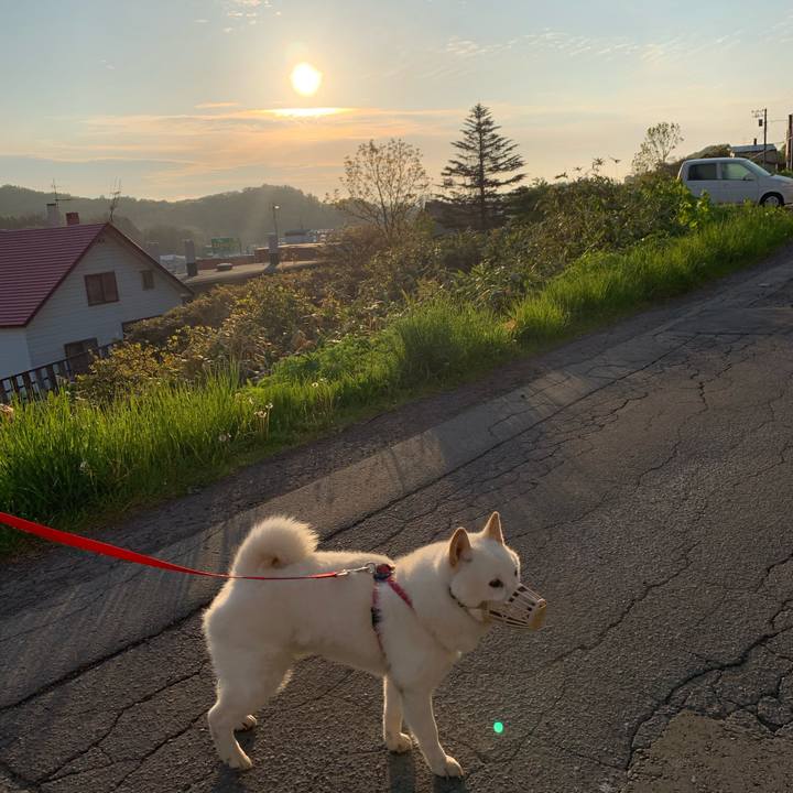 235b3447 fa45 45b6 a1c9 f4ad05b59b2e 1590266149879