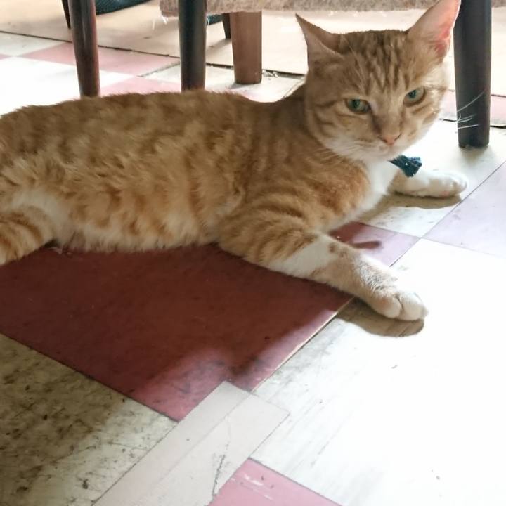 235b46a6 e2a8 4839 bac8 9cde70aeddf4 1563681927909