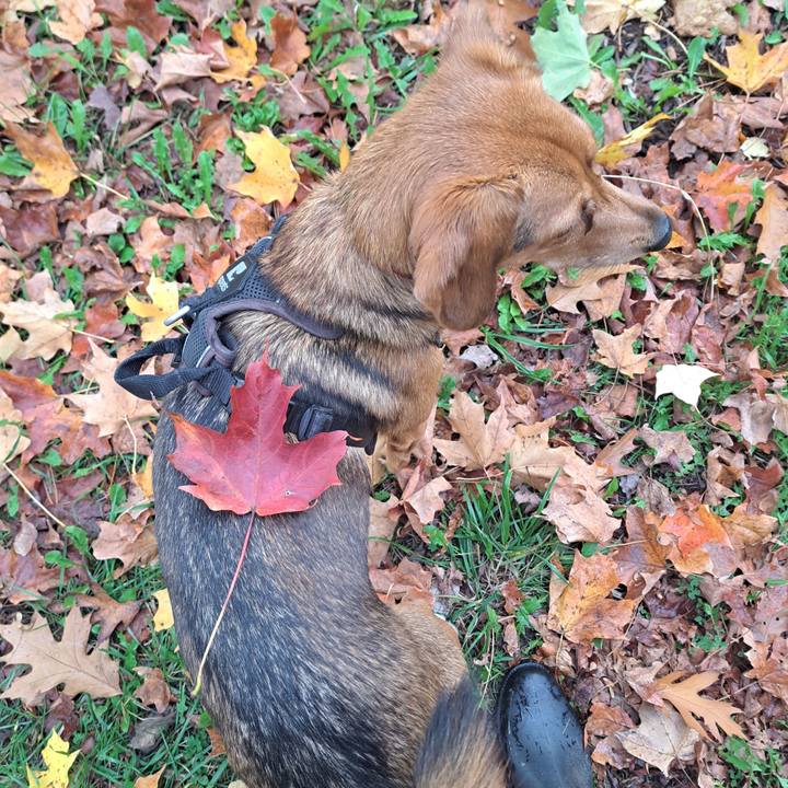 235b715c b24d 4e48 a307 21f364971fa9 1761055447144