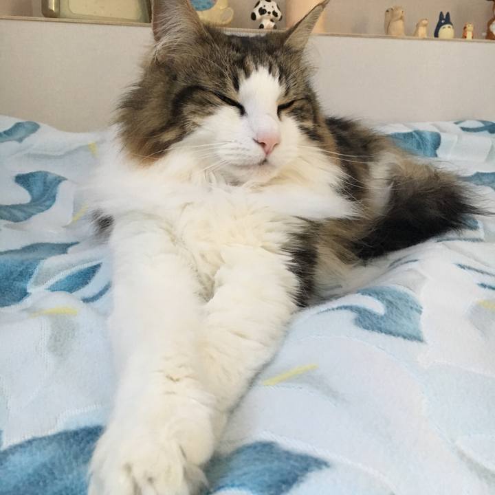 235b9ccf d7cf 474e 8544 90e4f24d31d2 1525233815130