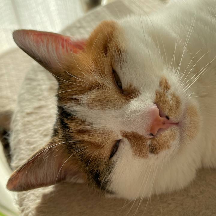 235bbb78 ffc6 421e 8b4a 42fd5bbf1fe1 1608959248275