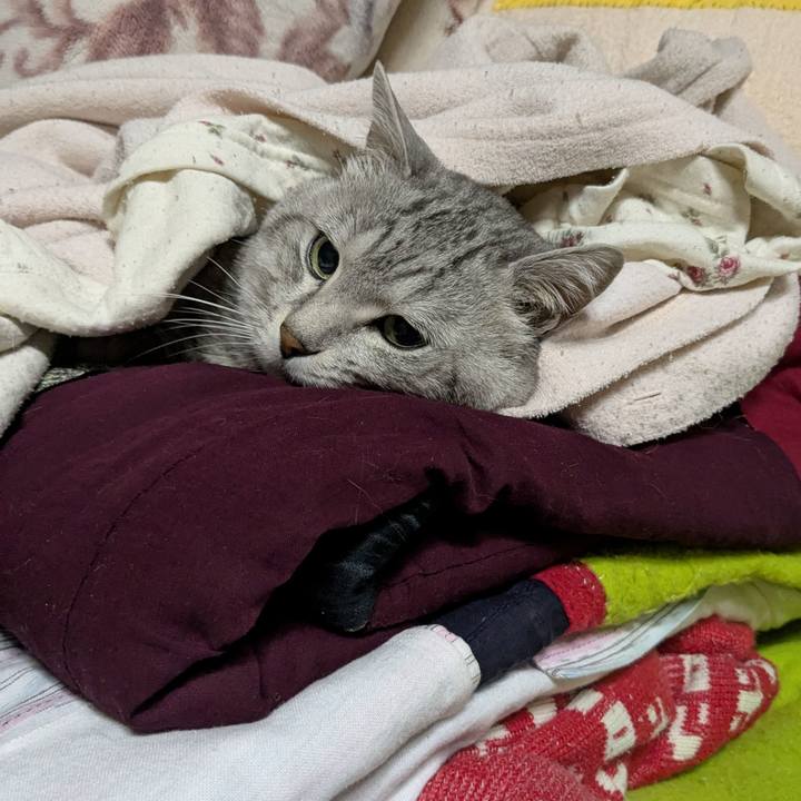 235bc409 c2fd 471f 9d66 3f2a1a57ed68 1739718144857