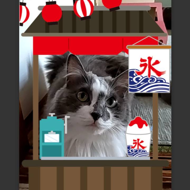 235bd73b e089 4f00 b717 e76e9345f607 1630216178630