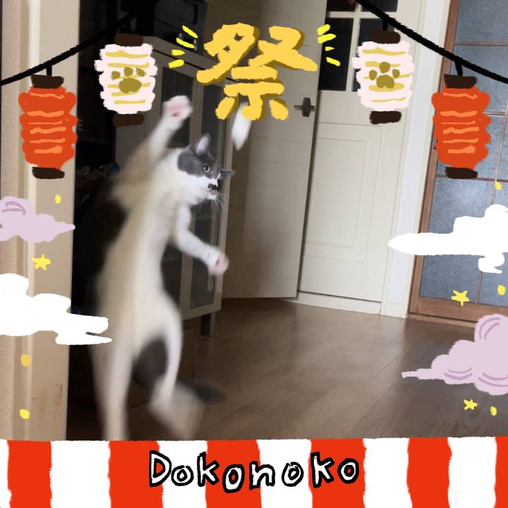 235bdf6f 2499 4cac 824d 421bf60b4280 1723200928433