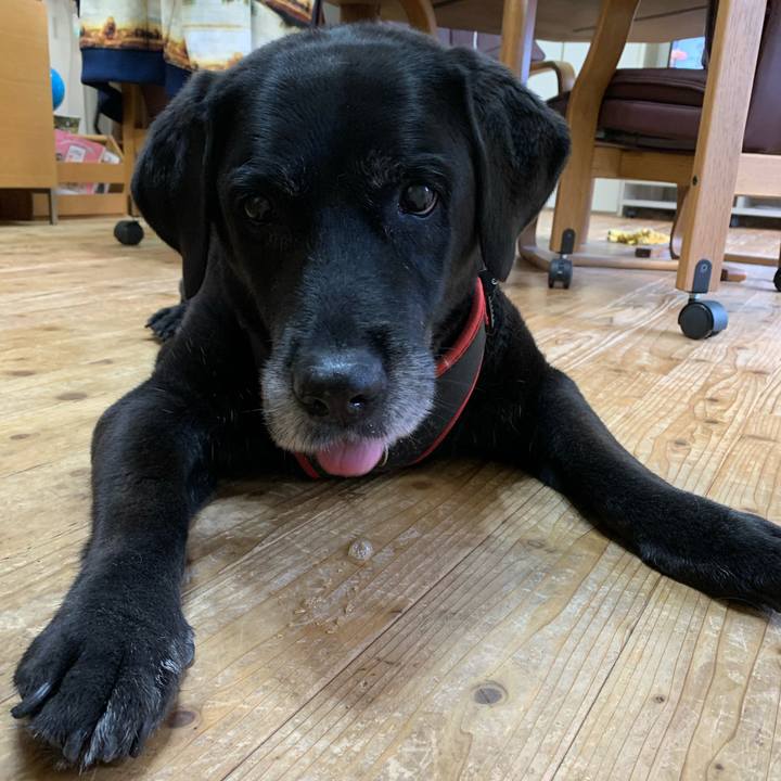 235be4aa 27d7 4ec0 9b78 53684d86263e 1601594784522