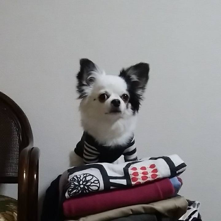 235be6d5 39df 415e b0ee 3008c4c78cbd 1547282604343