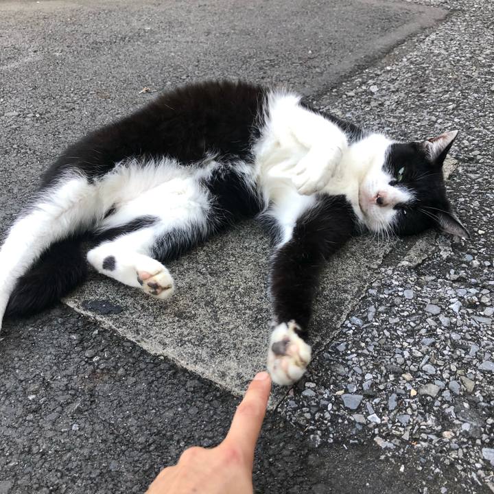 235be7dc b25b 4102 8097 5e40f838d97c 1600703974984