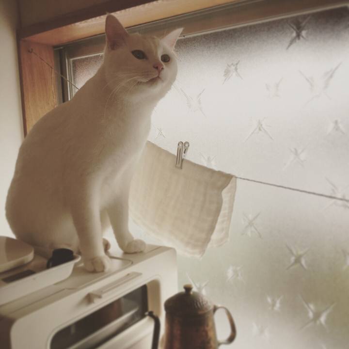 235c0f9e 26f3 4658 a3b4 c945f5b13b41 1516671716578