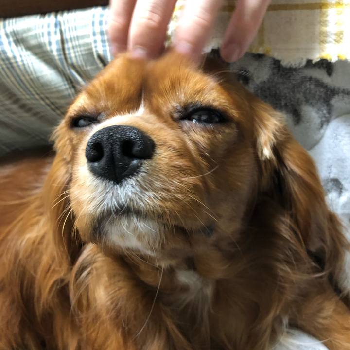 235c4f17 7ebf 404f ae7e 81a646d5919b 1548936861696