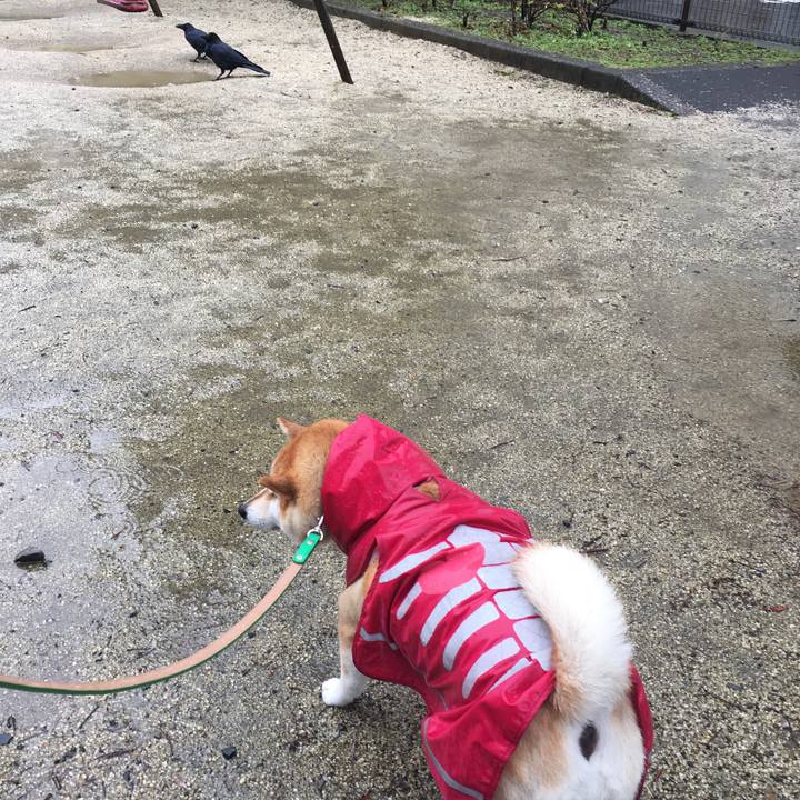 235c5228 1b49 4416 96c8 15862ea8d9db 1602904368641