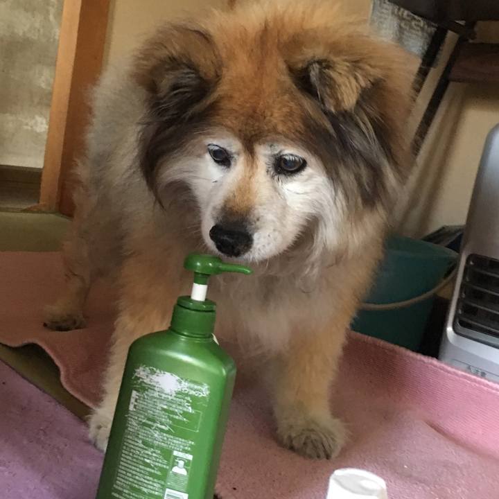 235c5b26 3dc1 4aad 8f56 bc7d14245259 1576471561583