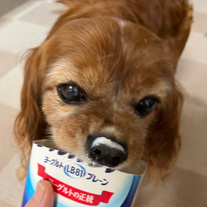 235c6cac 7c2e 4614 98f2 8bee313a52b3 1751495163674