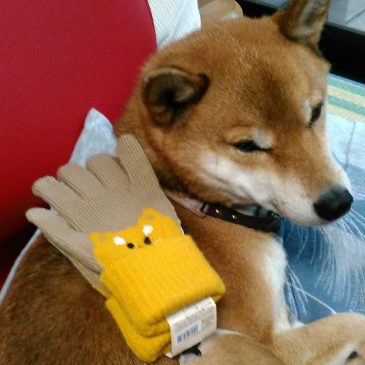 235c6f44 82eb 4bb4 b0cb d2bfc5b99a05 1543813964027