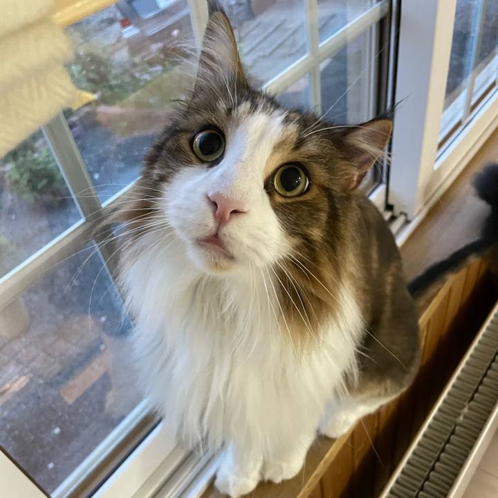 235c7f10 ded8 49d4 ad88 0ccb7f817fe8 1690746520937