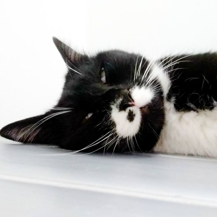 235c7ffb 267b 4f28 9607 6b185922068b 1507899219258