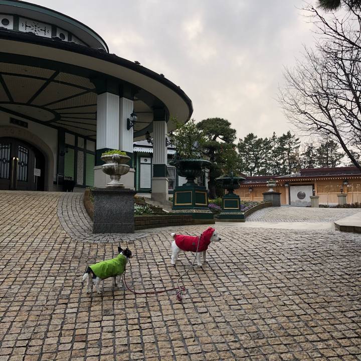 235c8325 b0a8 4fc6 b2ac 5c582b425893 1579047547488