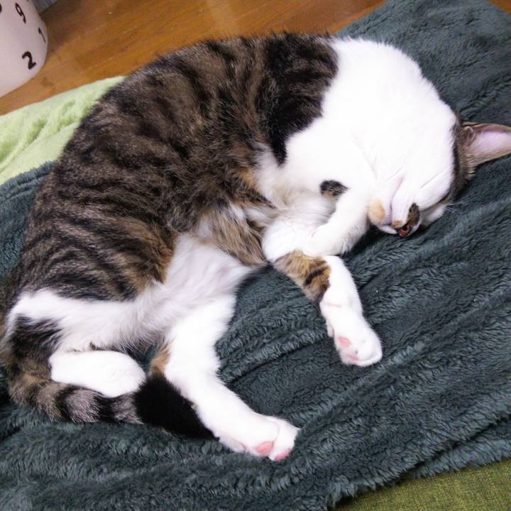 235cc7b7 f69e 460b 8b96 e238d3c894e3 1638607753726