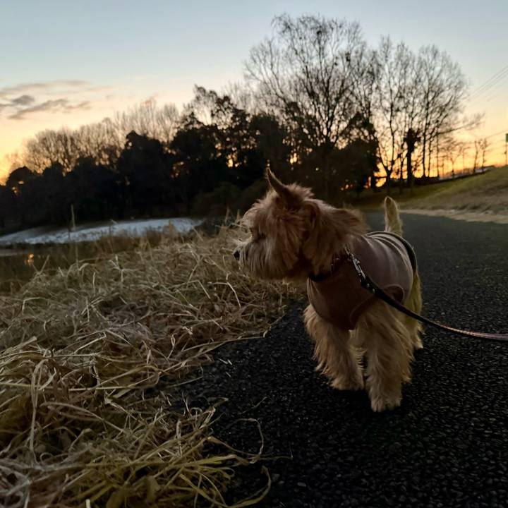 235cf547 fb3e 4344 9e4e e9cf25b23bf5 1767620767047