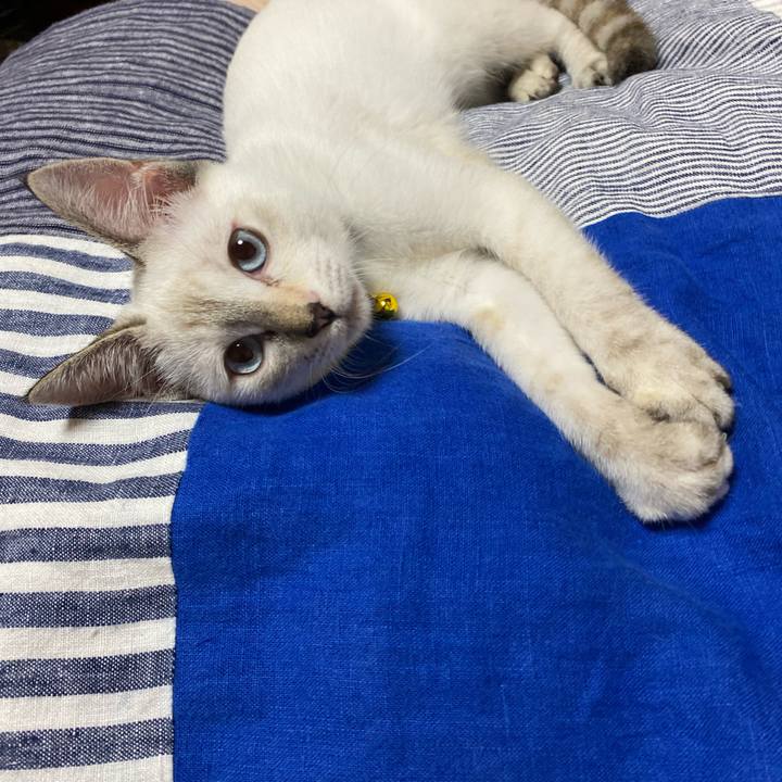 235d08e0 59b2 47d0 98d4 1030c6cc6ea6 1630715213455