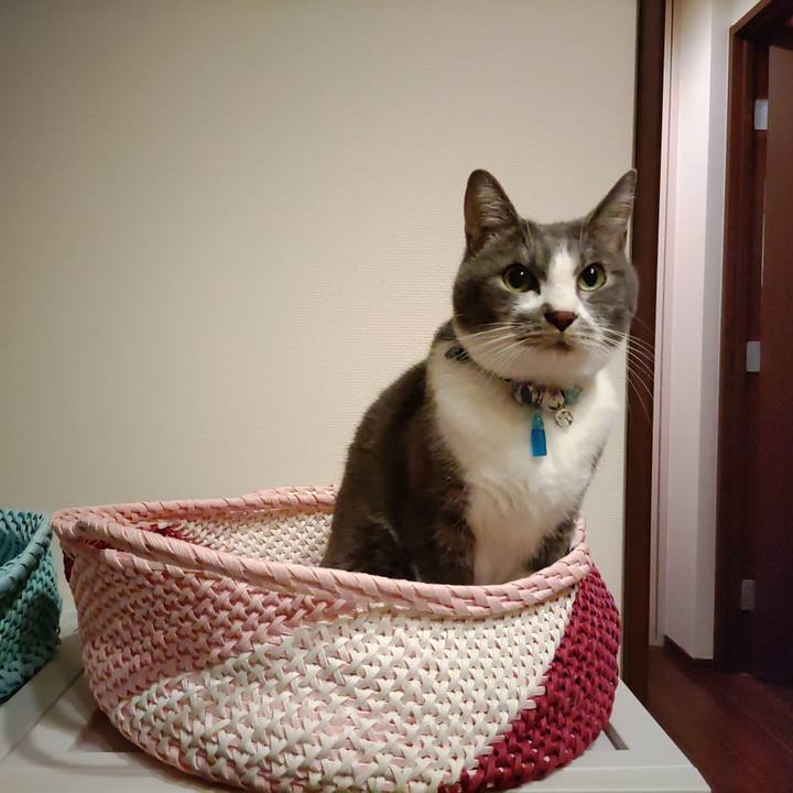 235d5329 cb22 456f 81f3 35b90b457d8f 1667824417913