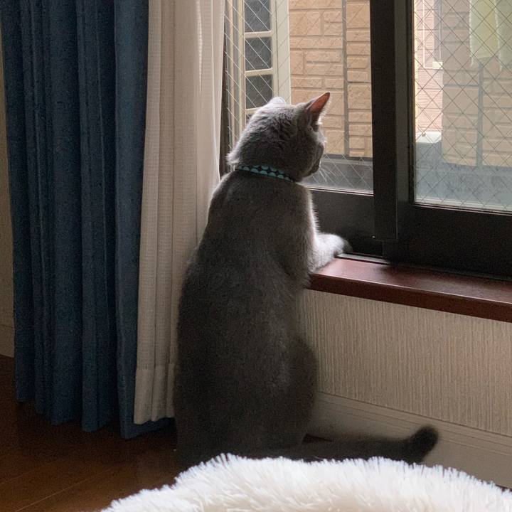 235d6cfc e7d1 4c92 90ba 8b962e4137cd 1600039246272