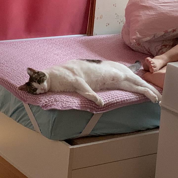 235dac85 c784 4d3b 9689 b6d706bbb4ce 1561698371539