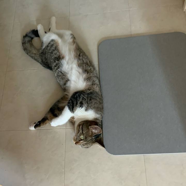 235db7a9 4371 492f 8c94 d3fc0e563f51 1657584624460