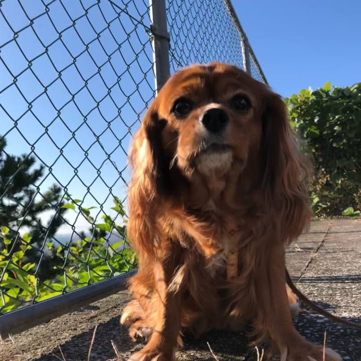 235dc4d8 8076 4890 ba09 d05e77c2c4da 1635551318101