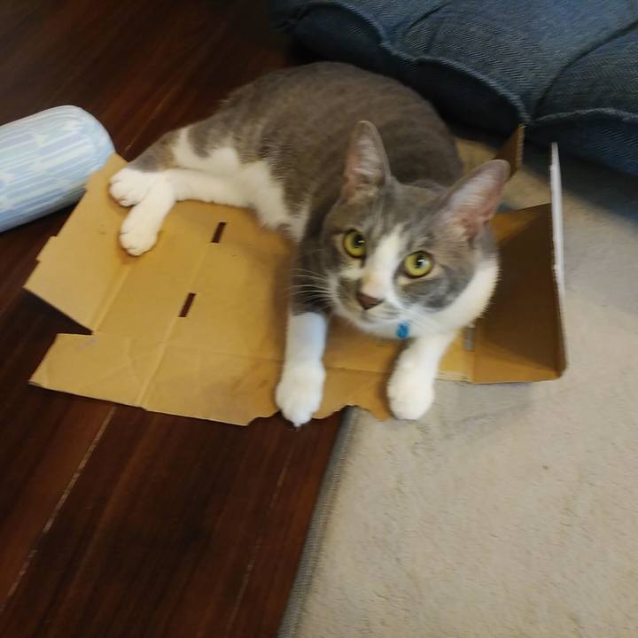 235dfb0a cc97 4cff 8e7d cab7b99f5f08 1595460170540