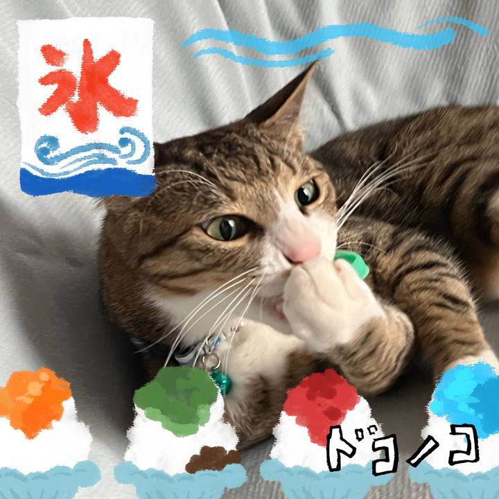 235e1511 9d03 4fa0 b718 6812ec86d18f 1723263491090