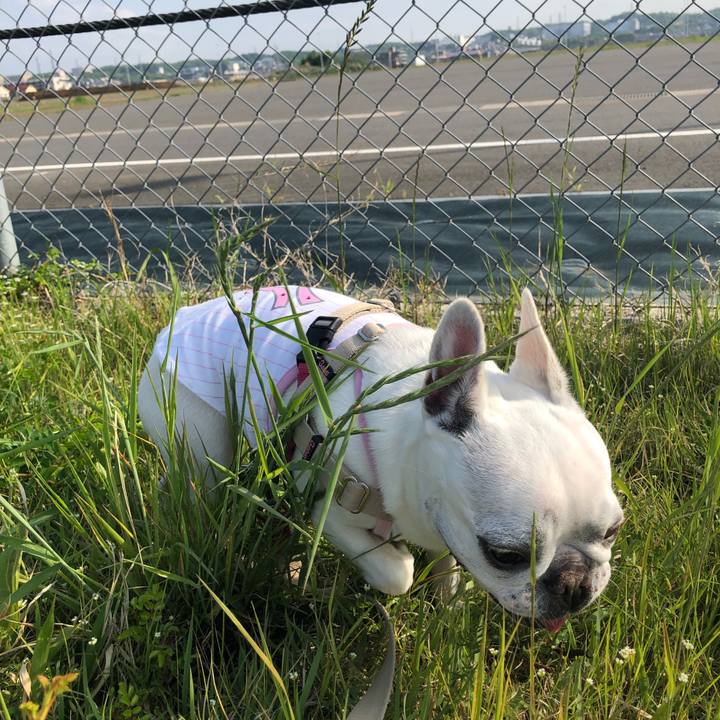 235e2dcc bd28 402b b908 2c1827e000f2 1556940384831