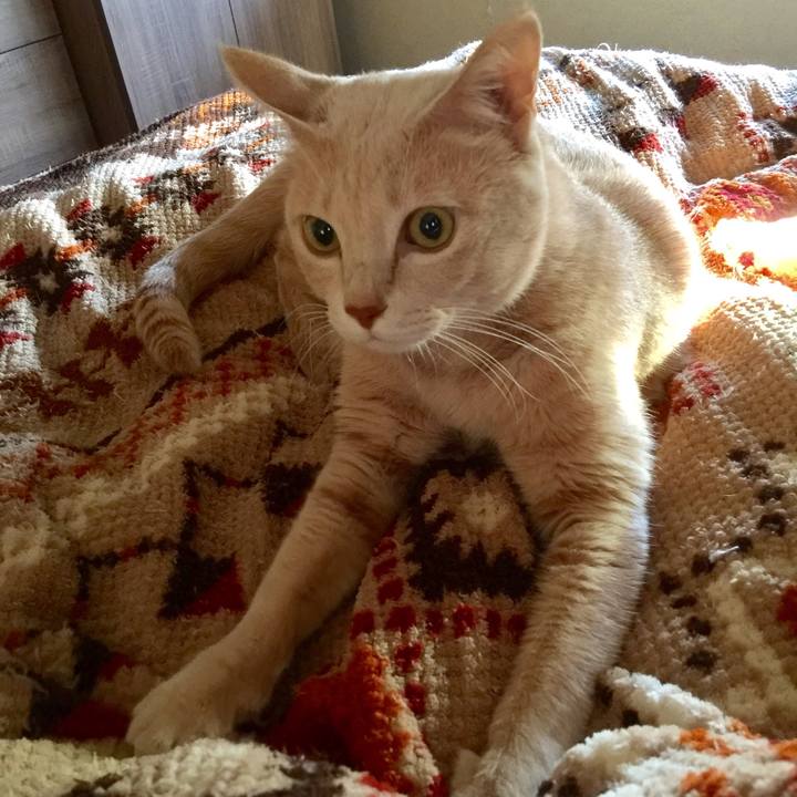 235e4e59 5ecb 407c 8b22 6ae6b1fc9006 1510009300435