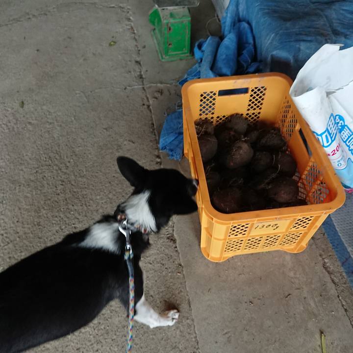 235e5d24 1769 4c73 8d5a c73f65892413 1510151180969