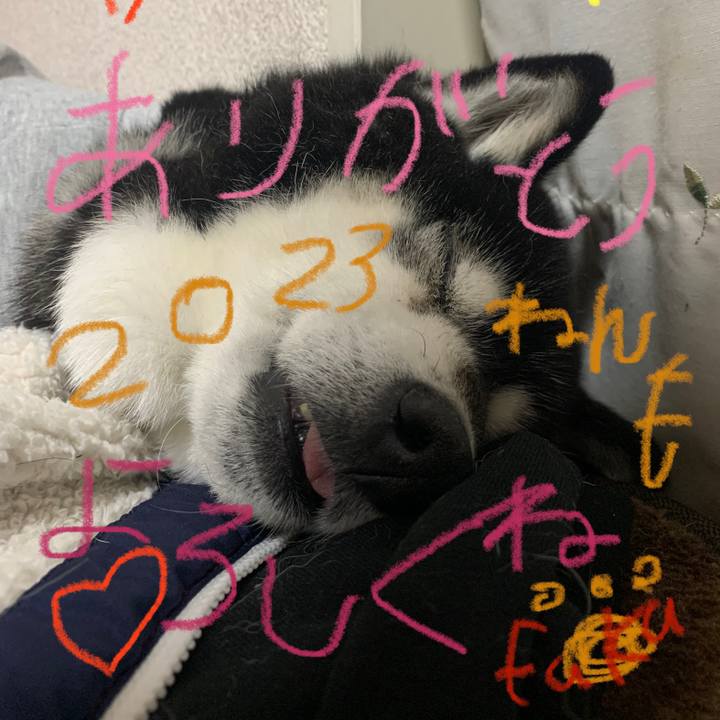 235e6fa6 3cdc 4304 8f76 c662484797f1 1672445727640